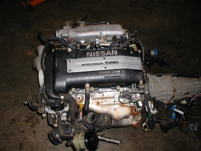 P1010024.JPG