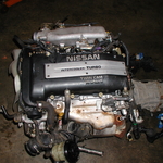 P1010024.JPG