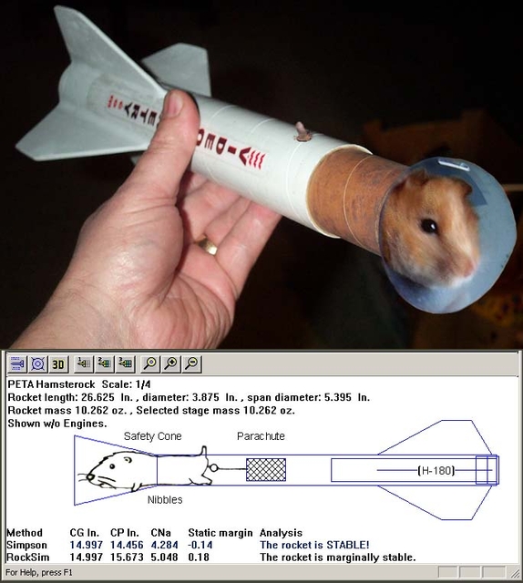HamsterRock.jpg