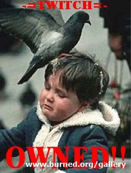 pigeon1.jpg