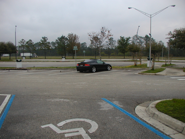 Picture 009.jpg