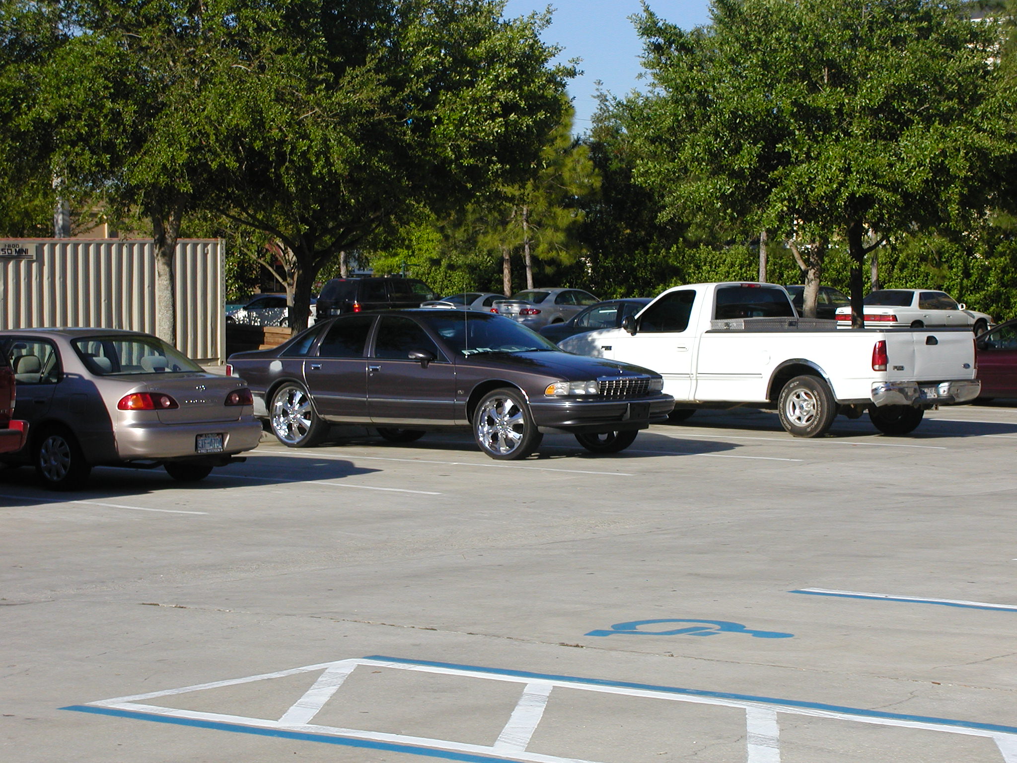 Picture 003.jpg