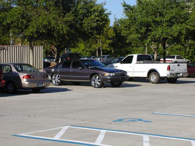 Picture 003.jpg