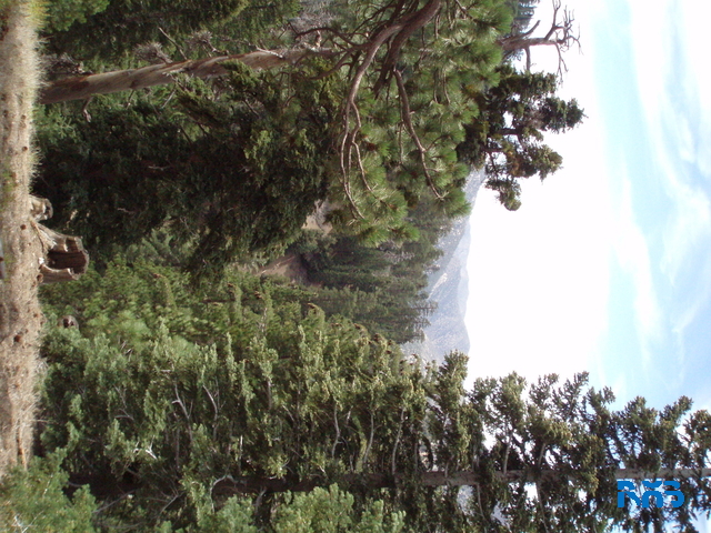 P7190218.JPG