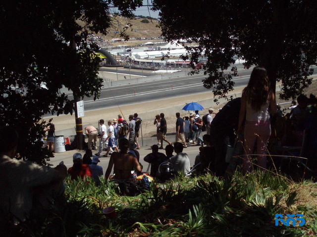 P7220341.JPG