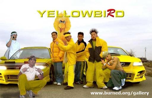 yellowbird.jpg