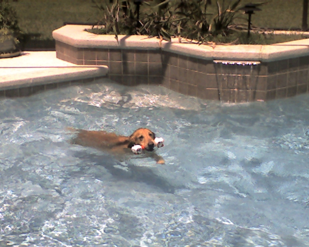 img066.jpg