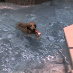img067.jpg