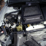 P1010050.JPG