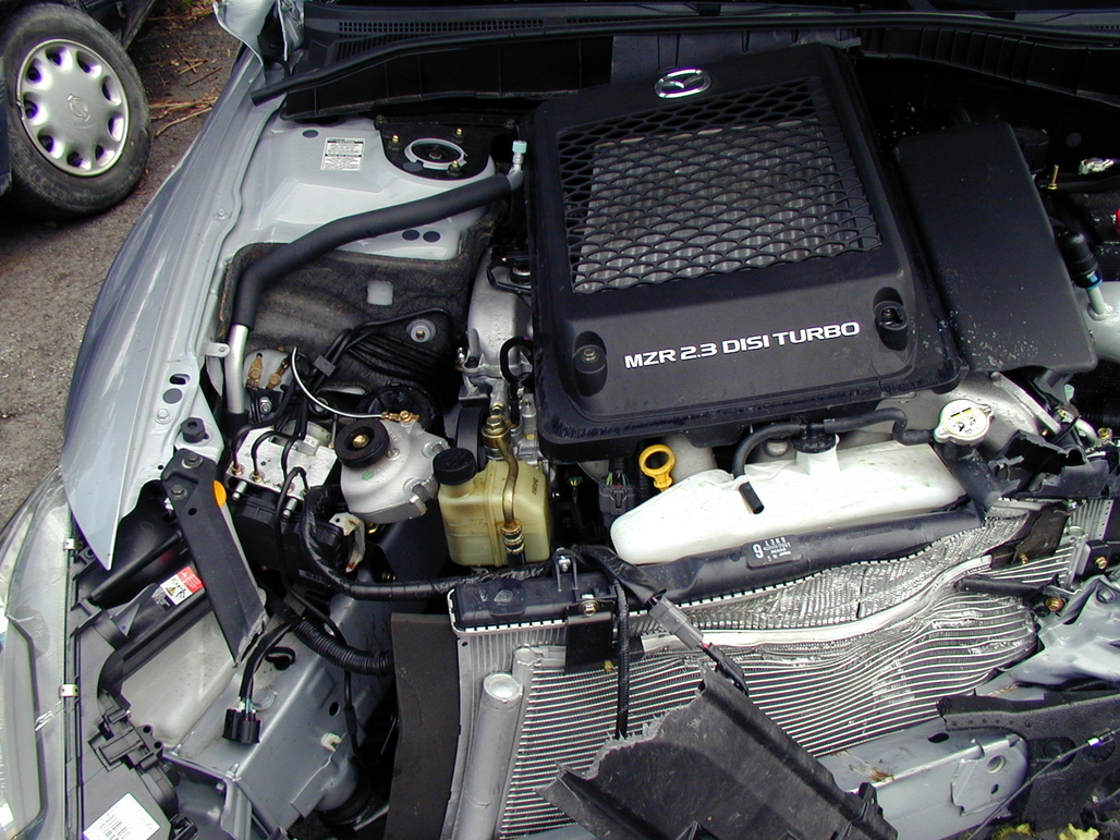 P1010050.JPG