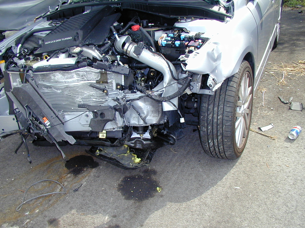 P1010052.JPG