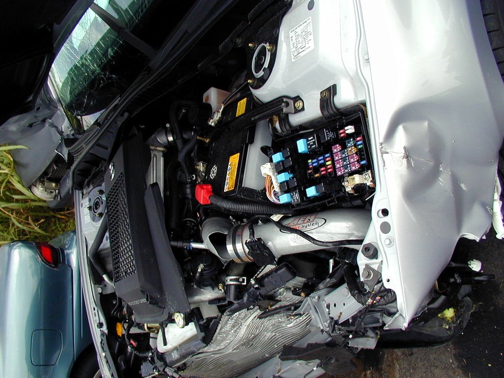 P1010053.JPG