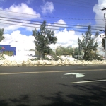 img081.jpg