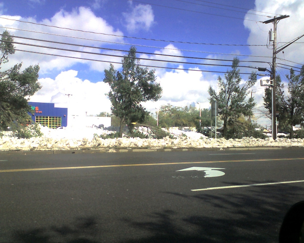 img081.jpg