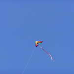 P1010001.JPG