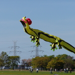 Kite Fest 2006