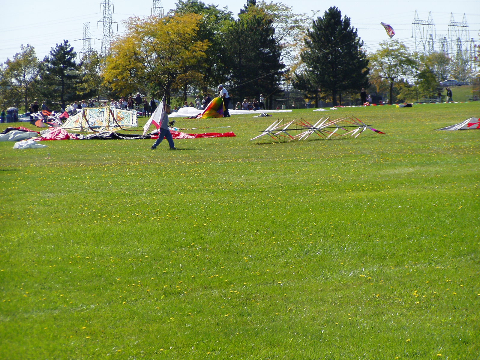 P1010007.JPG