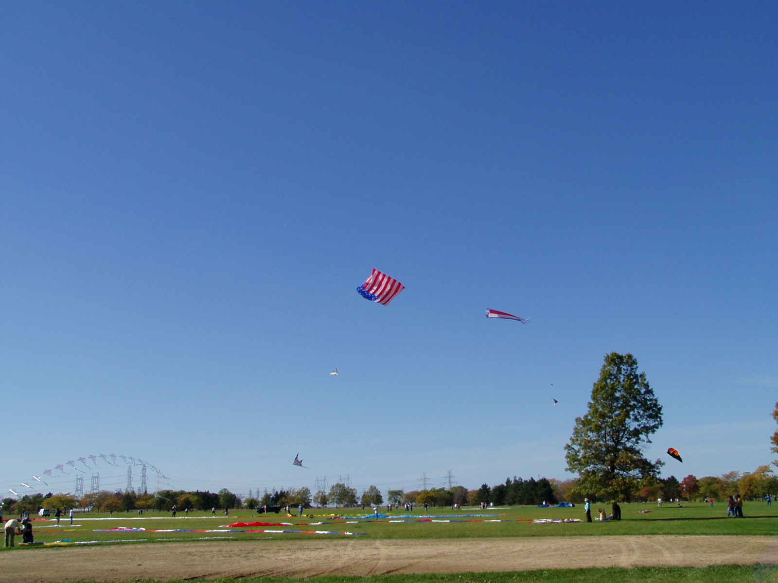 P1010008.JPG