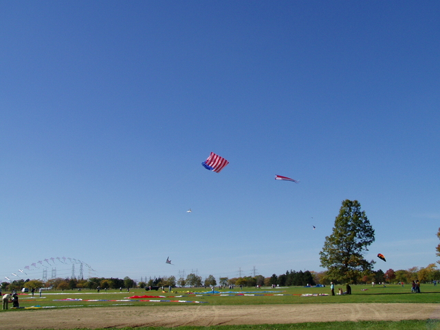 P1010008.JPG