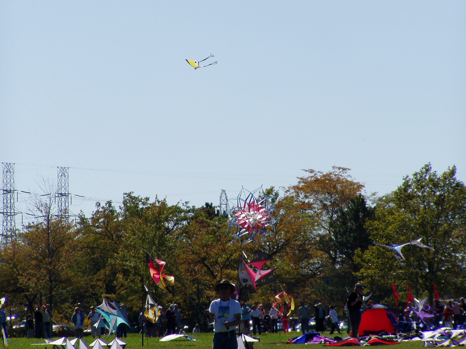 P1010009.JPG