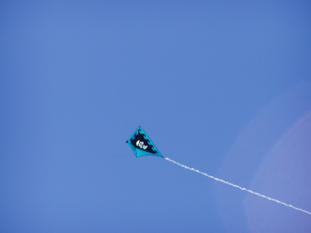 P1010012.JPG