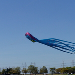 P1010013.JPG
