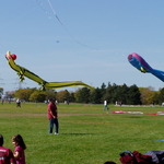 P1010016.JPG