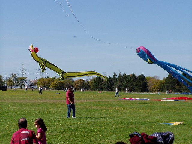 P1010016.JPG