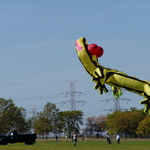 P1010017.JPG