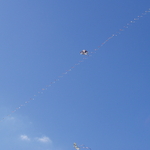 P1010020.JPG
