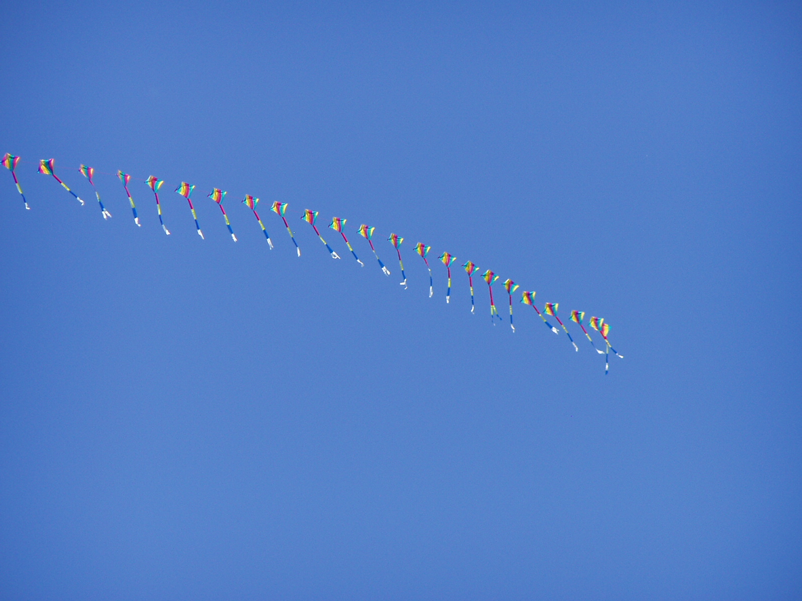 P1010023.JPG