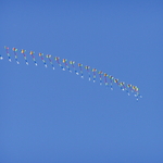 P1010023.JPG