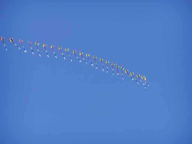P1010023.JPG
