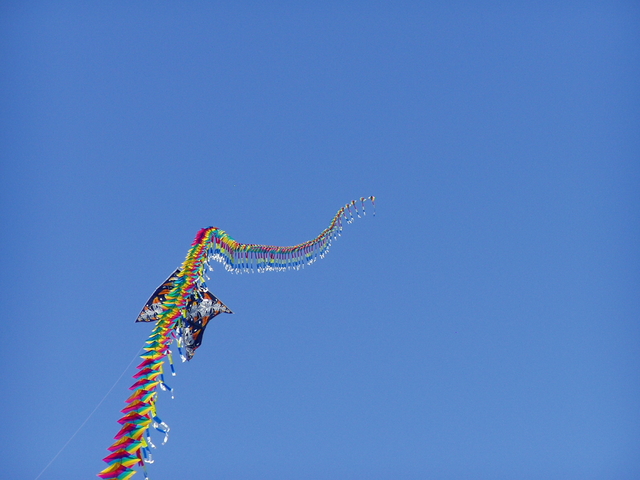 P1010026.JPG