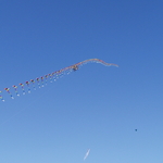 P1010027.JPG