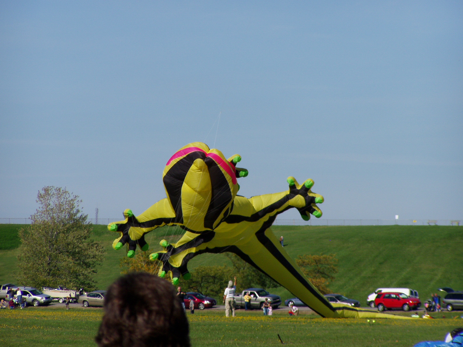 P1010029.JPG