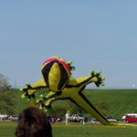 P1010029.JPG