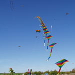 P1010030.JPG