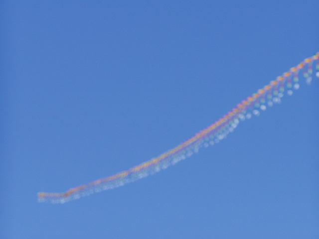 P1010032.JPG
