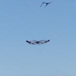P1010043.JPG