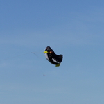 P1010050.JPG