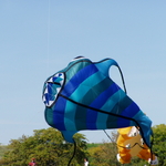 P1010052.JPG