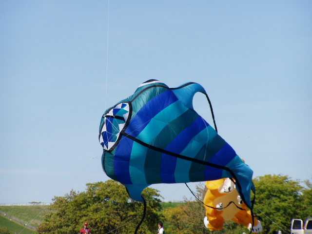 P1010052.JPG