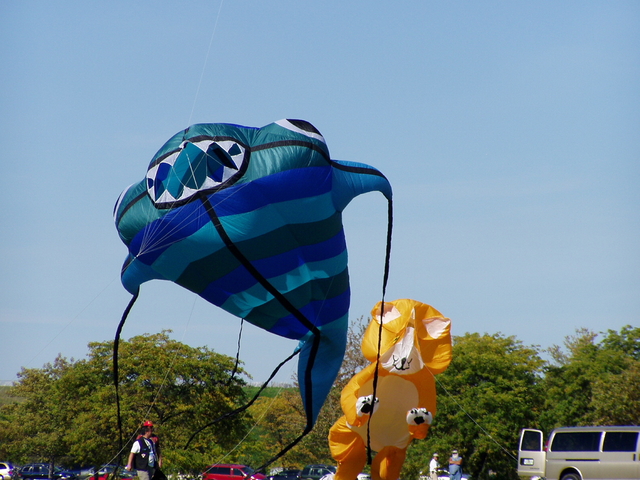 P1010054.JPG