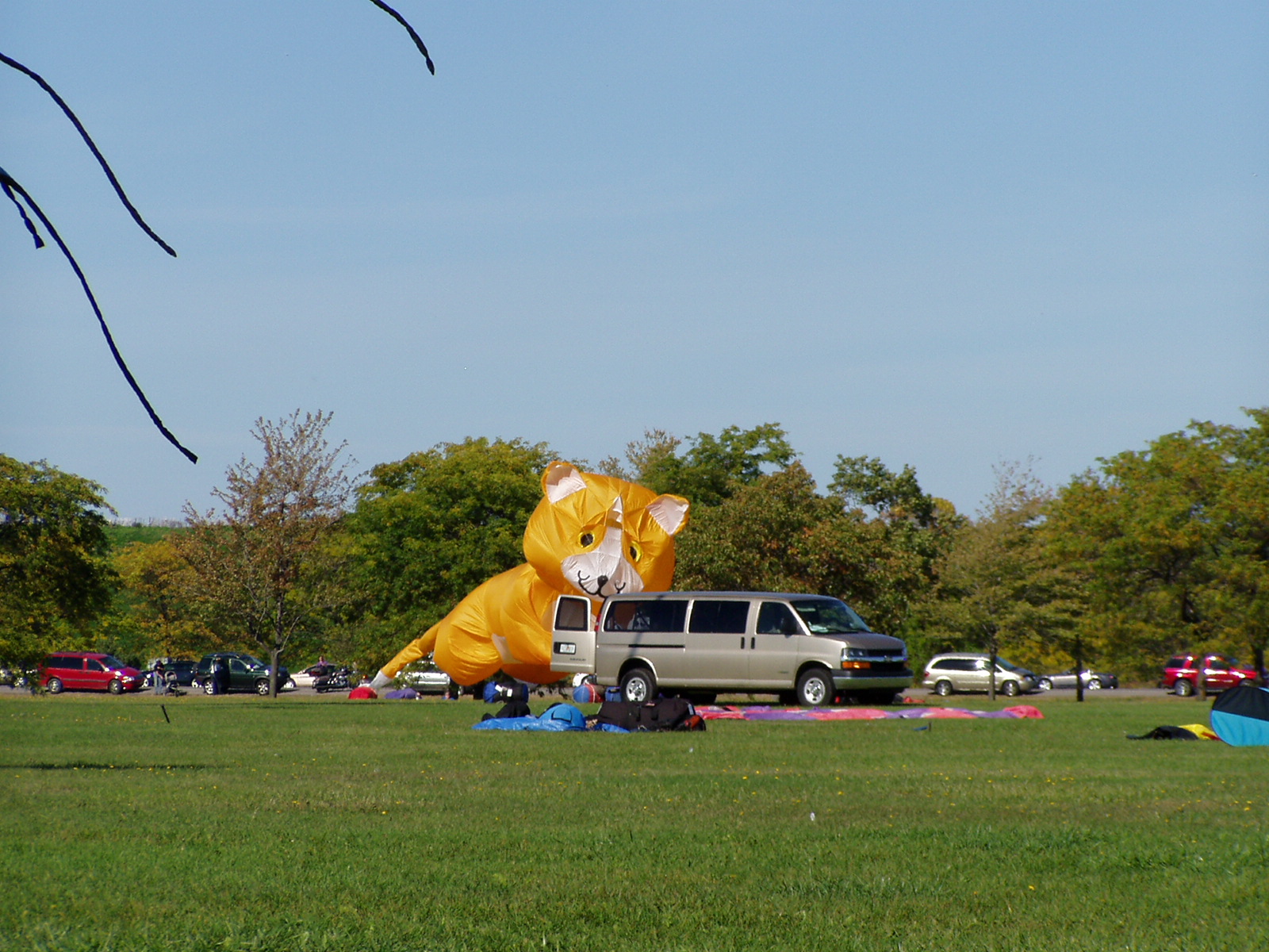 P1010056.JPG