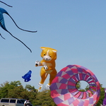 P1010058.JPG