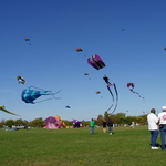 P1010064.JPG