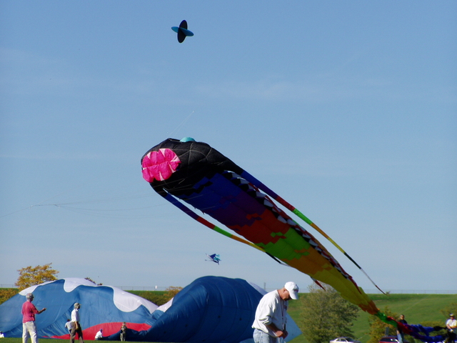 P1010086.JPG
