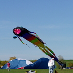 P1010087.JPG