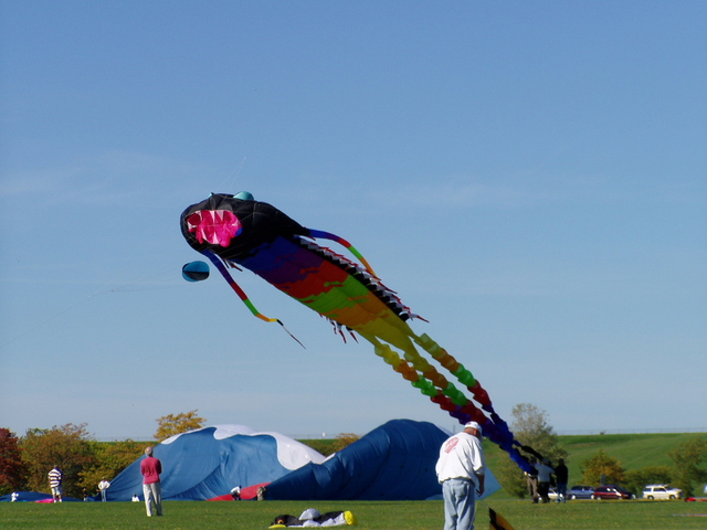 P1010087.JPG